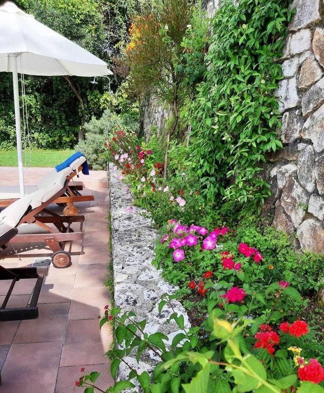 Villa Melenia Παραλία Αλμυρού Εξωτερικό φωτογραφία